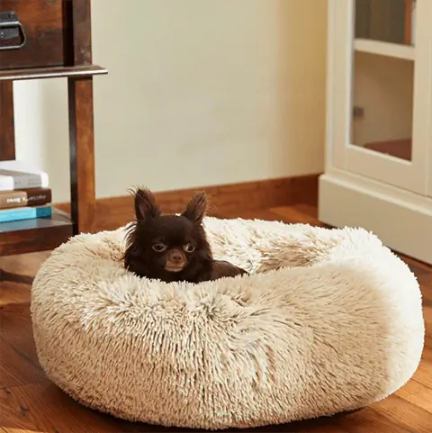 Frisco Eyelash Cat & Dog Boster Bed