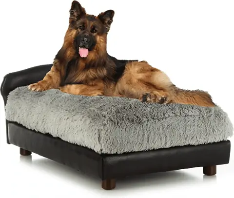 „Club Nine Pets“moderni sofa kačių ir šunų lova