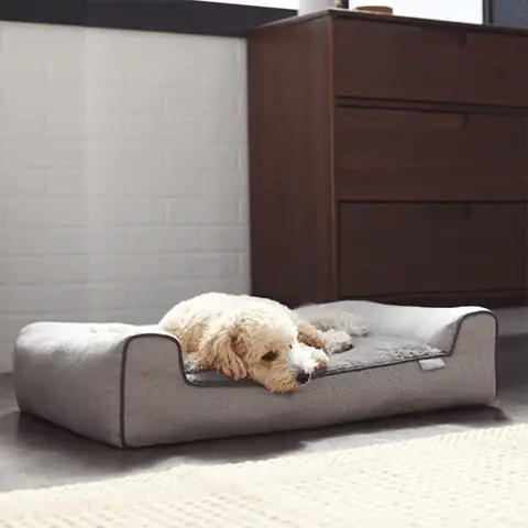 Frisco Herringbone Modern Couch Hund & Cat Bed