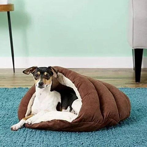 10 Pinakamahusay na Modern Dog Bed noong 2023 – Mga Review & Mga Nangungunang Pinili