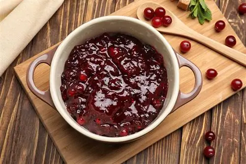 Können Katzen Cranberrysauce essen? Alles, was Sie wissen müssen