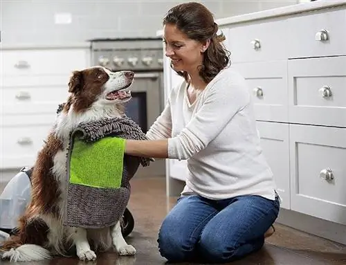 femme séchant son chien mouillé avec une serviette