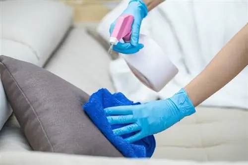 Sofa mit Desinfektionsspray reinigen