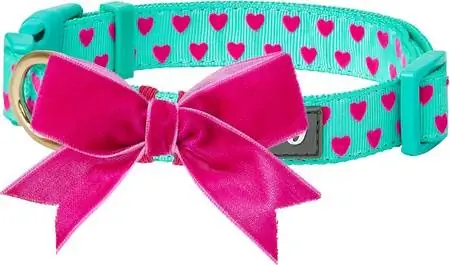 Bloubessie Troeteldier Heart Flocking Dog Halsband