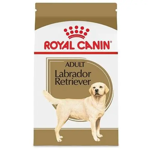 Royal Canin Breed He alth Nutrition Labrador Retriever Adult Trockenfutter für Hunde