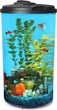 Koller Products 6-gallonine AquaView 360 akvaarium