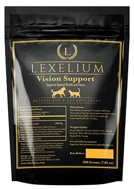 Lexelium Vision дэмжлэг