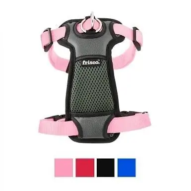 4Frisco Padded Nylon Geen Trek Hond Harnas