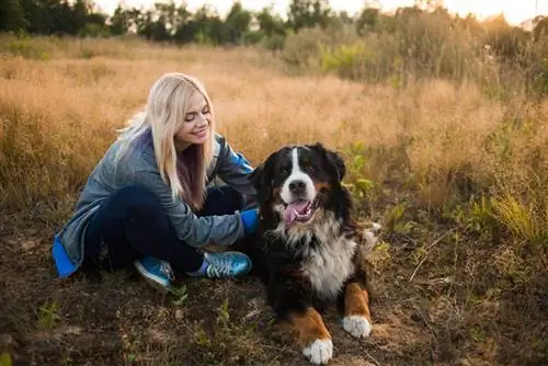 Frau sitzt mit ihrem Berner Sennenhund im Freien