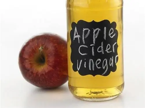 Æble cider eddike