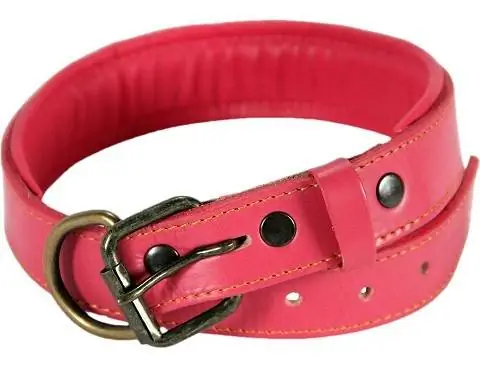 Collar De Perro Acolchado De Cuero Lógico