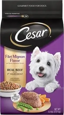 Cesar Small Breed Dry