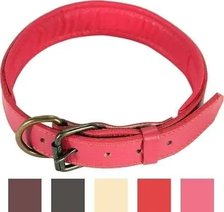 Collier pour chien rembourré en cuir 3Logical