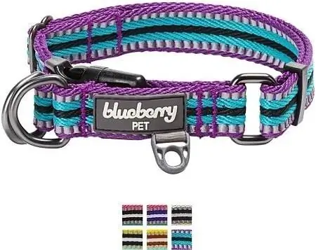 Collar reflectant per a gossos de polièster amb ratlles multicolors 4Blueberry Pet 3M