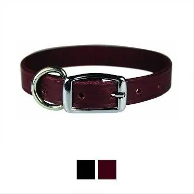 7OmniPet Latigo Leather Dog طوق