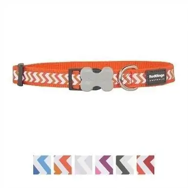 9Red Dingo Ziggy Nylon Reflective Dog Collar