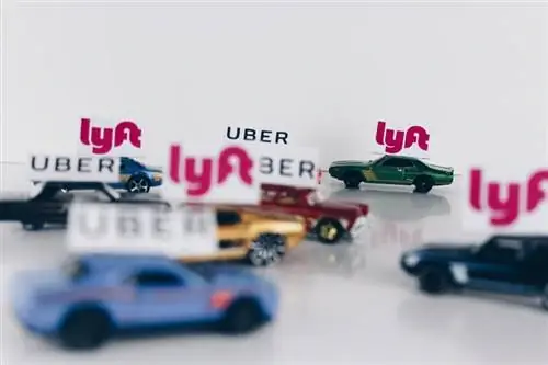 Tillater Lyft hunder i 2023? Kjæledyrpolicy & Reisetips