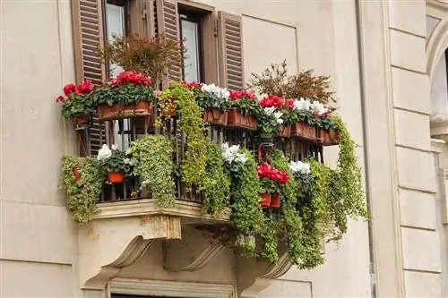 balkon plný truhlíků s rostlinami