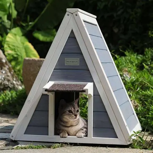 kat binne Petsfit Outdoor Cat House for Feral Kitties