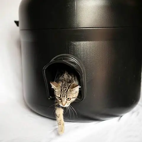 Die Kitty Tube met kussing