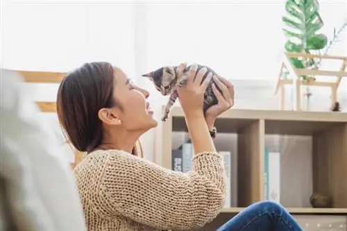 Een kat in een nieuw huis introduceren (een stapsgewijze handleiding)