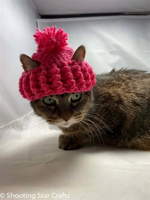 Super Warm Cat Beanie- Shooting Star Crafts