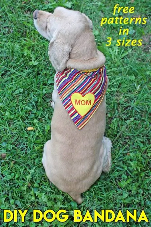 DIY Dog Bandana Pattern