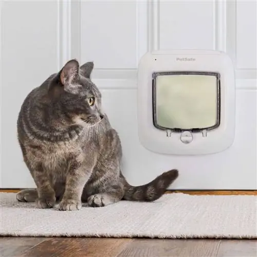 PetSafe 4-Way Locking Microchip Entry Cat Door (1)