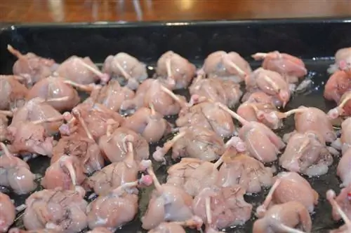 Molleja de pollo