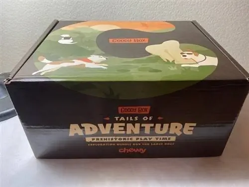 Chewy Tails of Adventure Goody Box Review