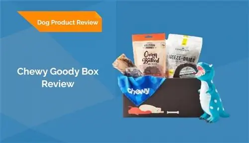 Chewy Goody Box İncelemesi 2023: Artıları, Eksileri, & Karar