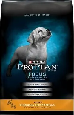 Con chó con tập trung kế hoạch Purina Pro