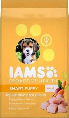 توله سگ هوشمند Iams ProActive He alth