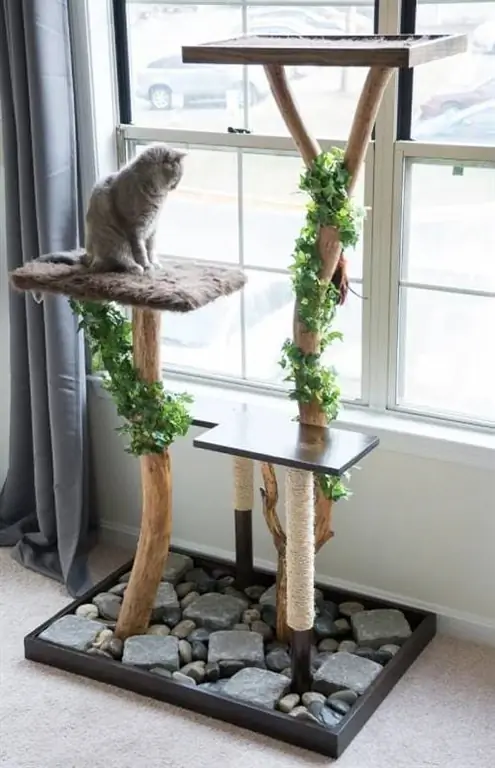 Cómo hacer un árbol para gatos con un árbol real