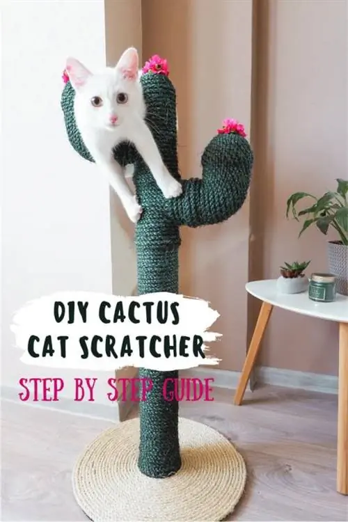 Rascador de gato de cactus de bricolaje