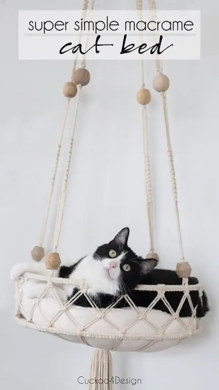 macrame কর্ড ব্যবহার করে purrfectly চতুর DIY বিড়াল বিছানা