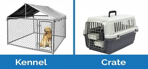 kennel dhidi ya crate upande kwa upande