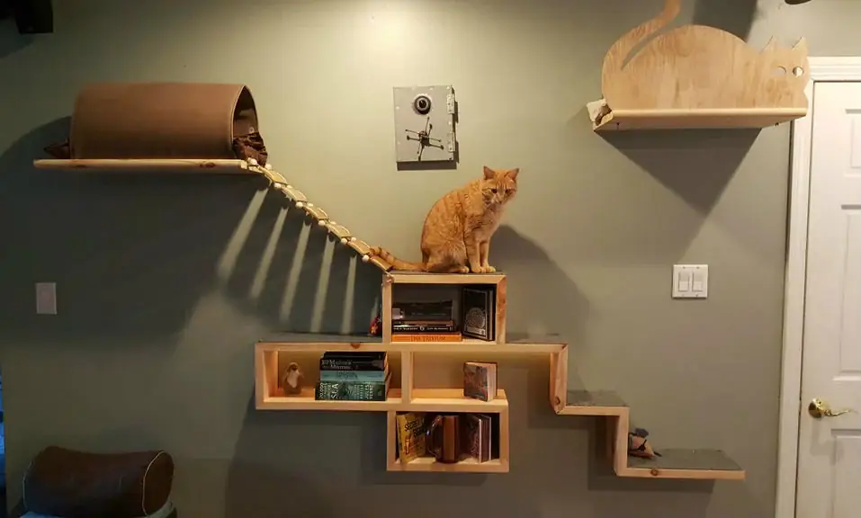 Kattetre? Nei! Cat Wall- Instructables