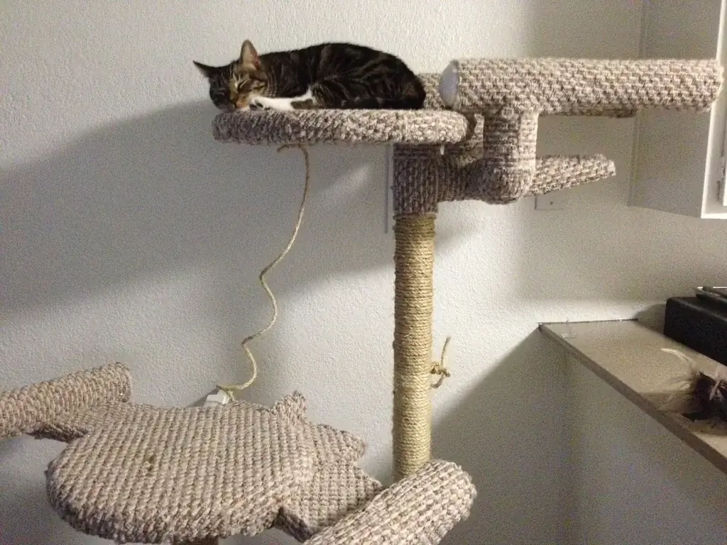 Star Trek Cat Tree- Instructables