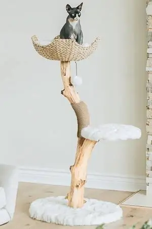 Mau Lifestyle Bed Cat Tree