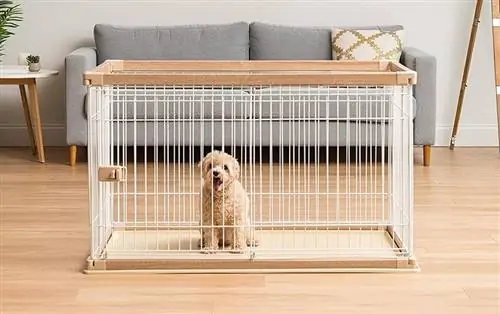 10 Chuồng chó trong nhà tốt nhất & Puppy Playpens năm 2023 – Đánh giá & Lựa chọn hàng đầu