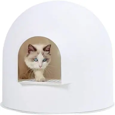 pidan Igloo kattsandlåda