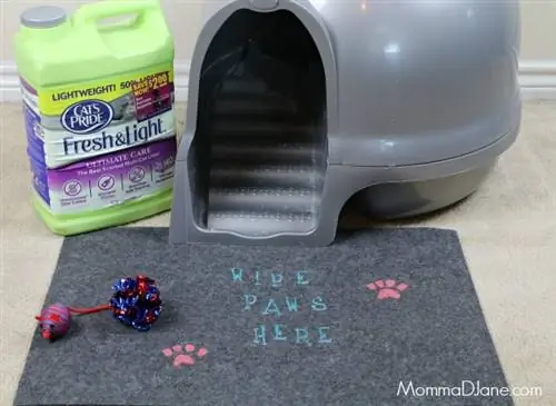 DIY Litter Box Cat Paw Mat