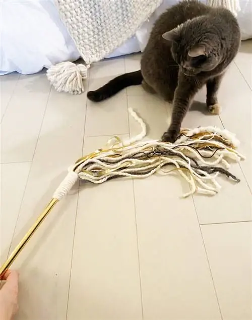 Tutorial de varita de cinta de juguete para gatos DIY