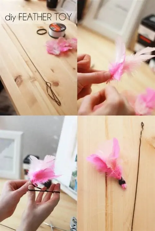 Catividades + Juguete para gatos DIY