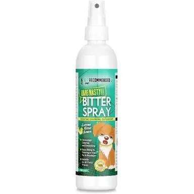 Spray para cães sem mastigar recomendado pelo veterinário