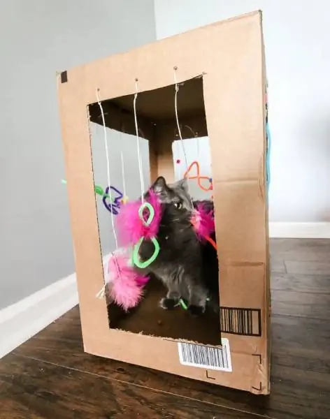 DIY Cardboard Cat Play Box