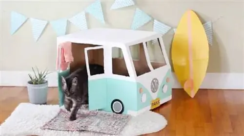 Cardboard Bus Cat House