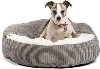 10 Best Cave Dog Beds 2023 - دليل & المراجعات