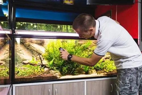 6 beste algenschrapers voor aquariums & Glasreinigers – beoordelingen 2023 & Topkeuzes